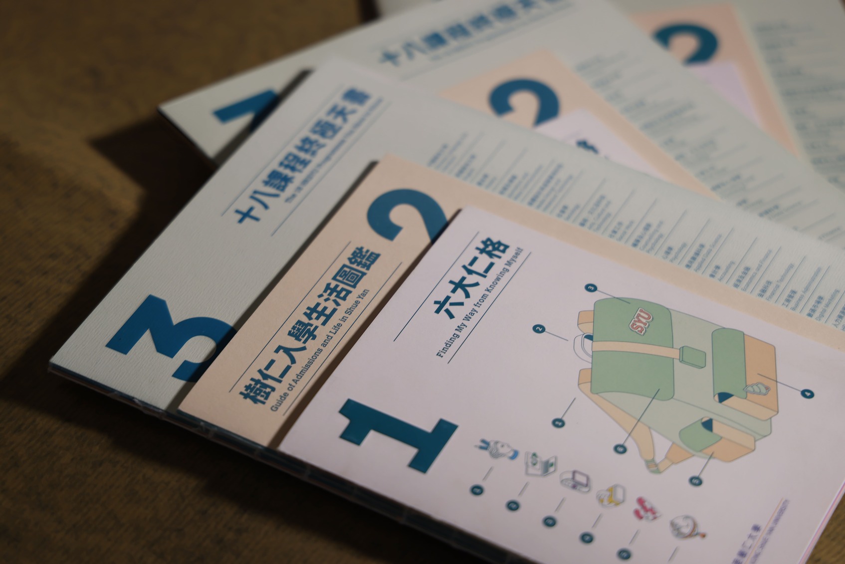 HKSYU Brochure Design-1