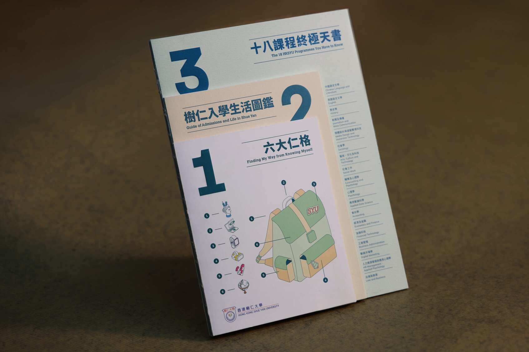 HKSYU Brochure Design-2