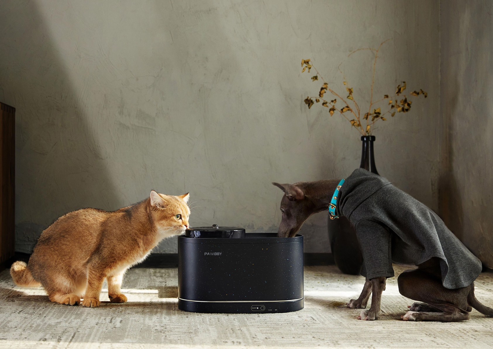 PAWBBY Smart Pet Water Fountain-2