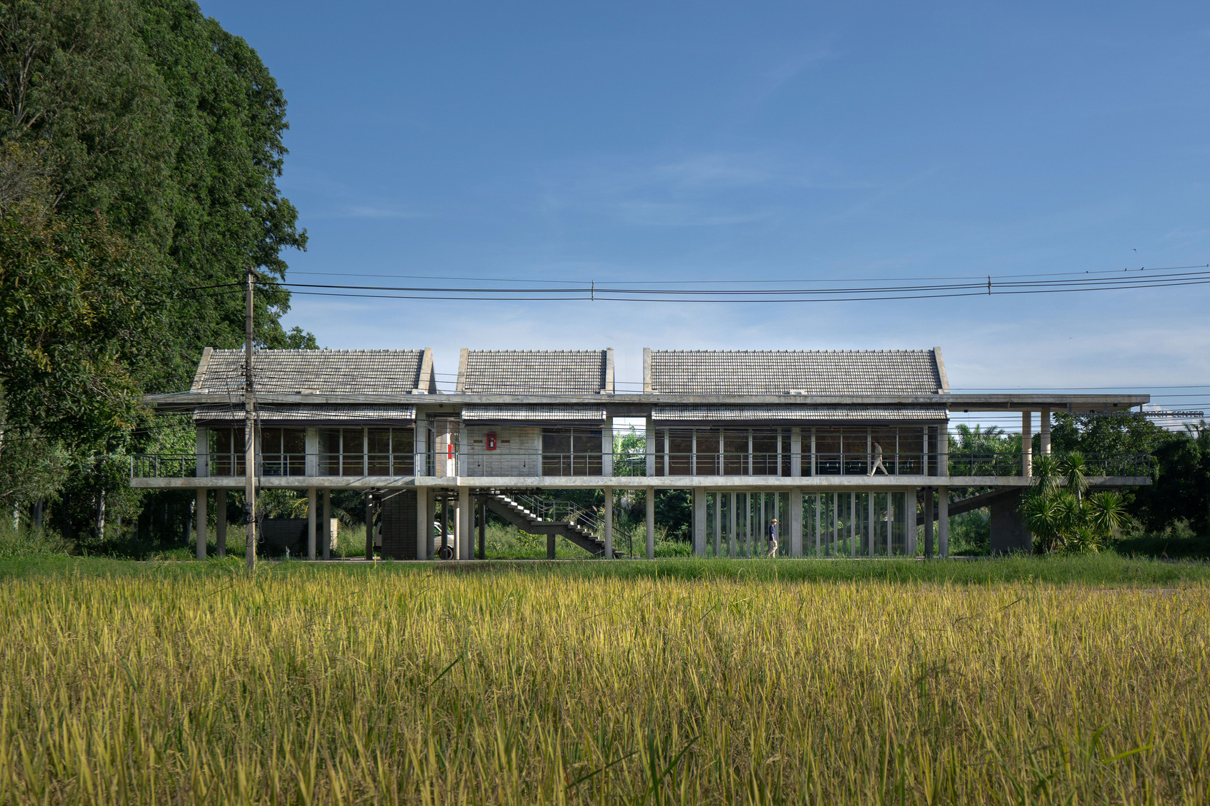 Lanna Rice Research Center, Chiang Mai University-1