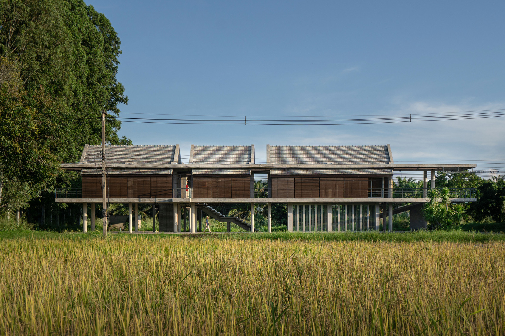 Lanna Rice Research Center, Chiang Mai University-2