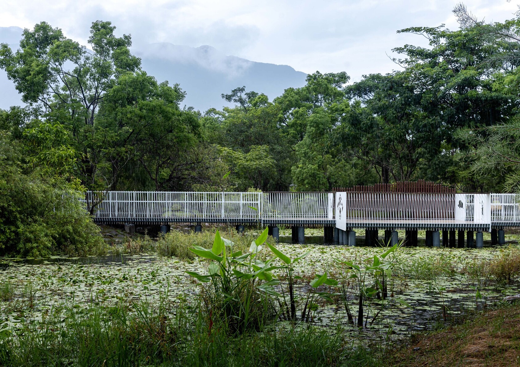 Hualien Agricultural Vocational School Ecological Observation Wooden Boardwalk-6