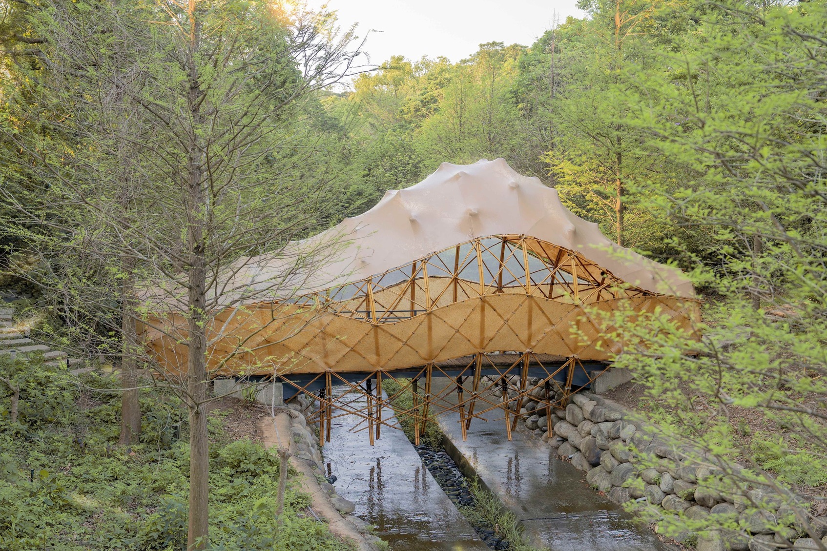 Bridge Cocoon-1