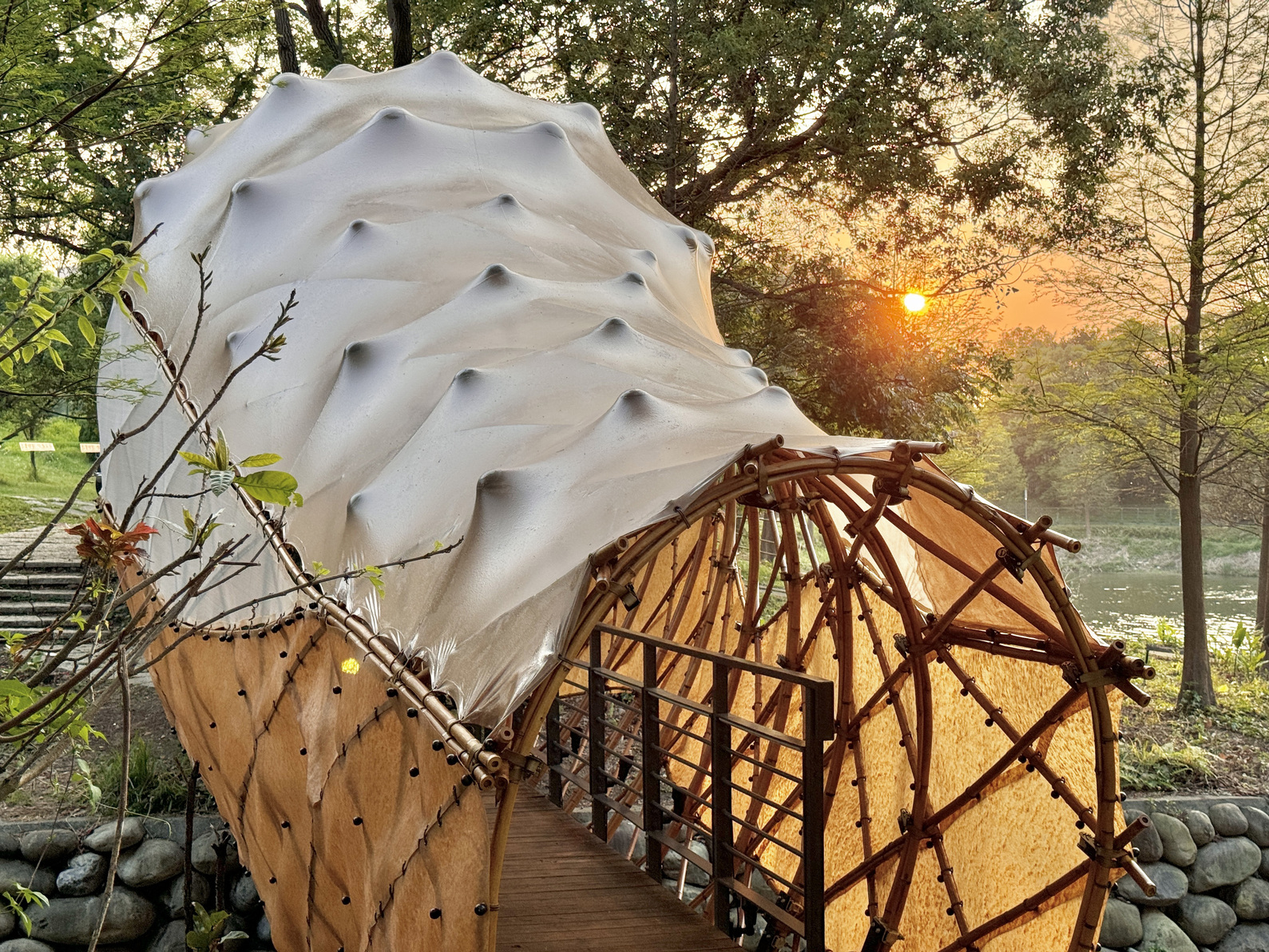 Bridge Cocoon-6