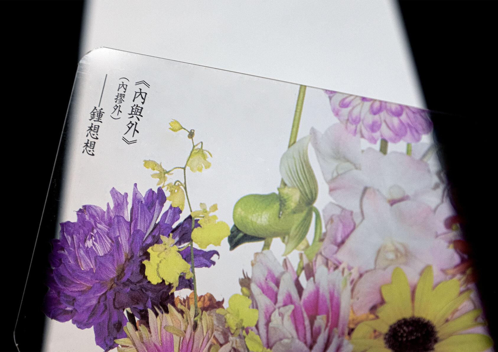 SUI-NGIU-PA-SU | LIMITED BROCHURE-3