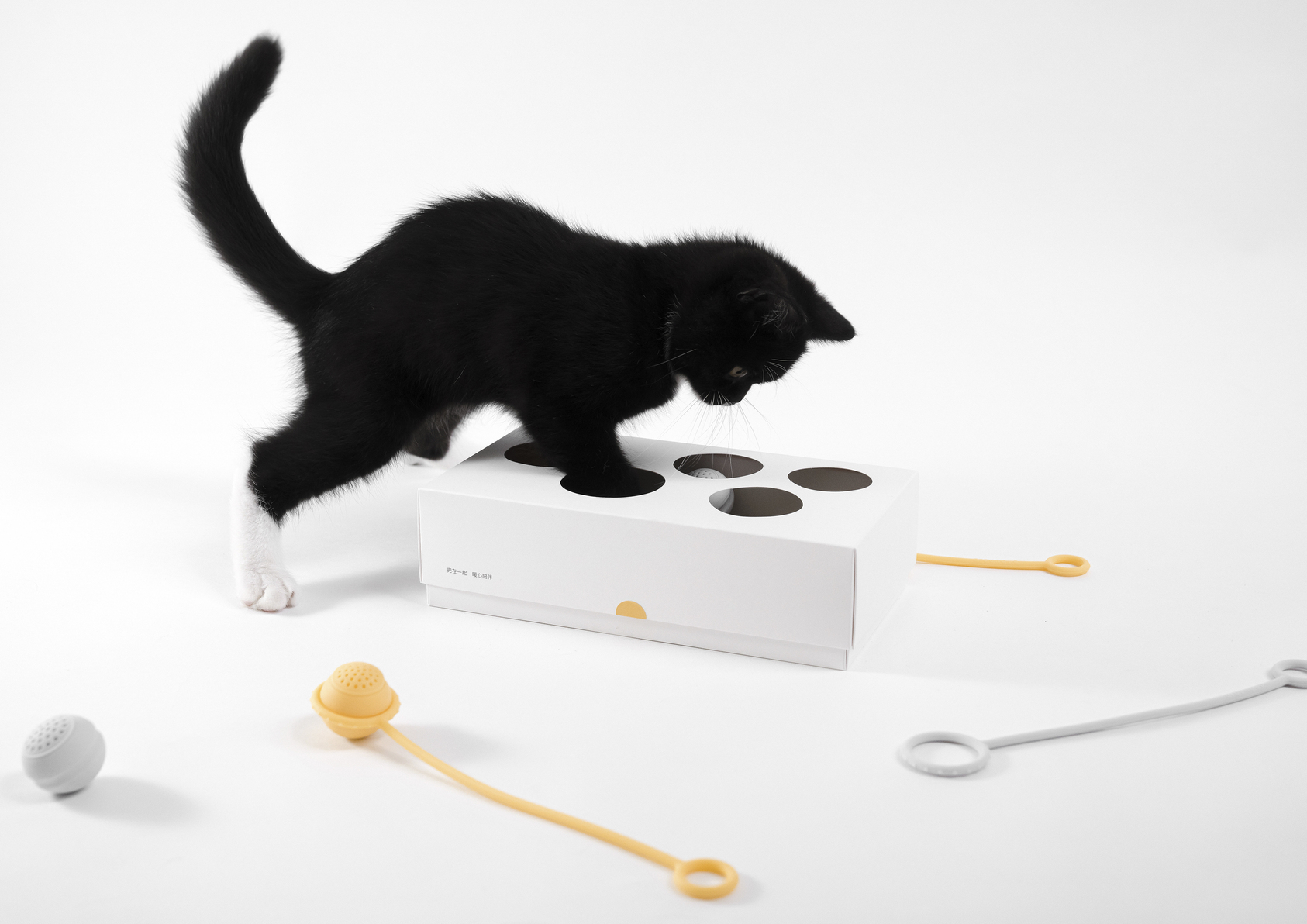 duo goods | Hide & seek cat play box gift set-5