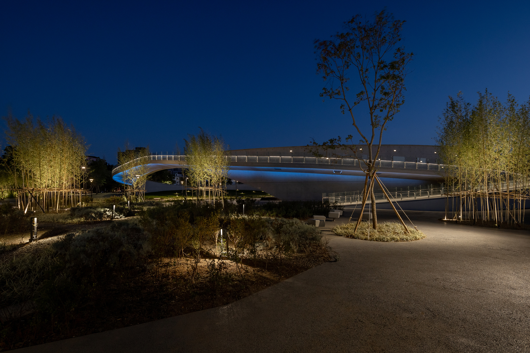 1895  Memorial Park -The Brave Blue  Lighting-9