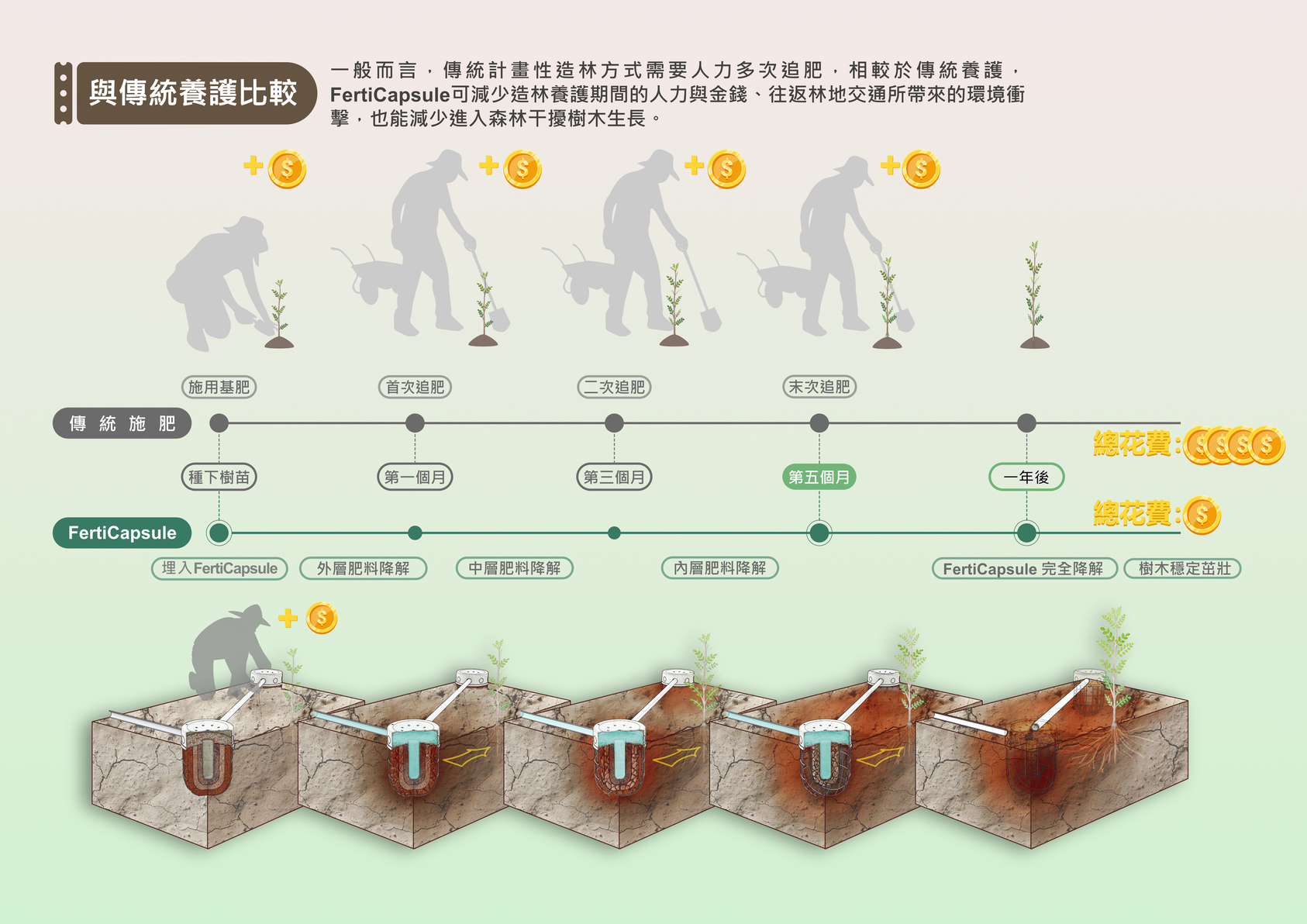 FertiCapsule 造林自動給養膠囊-3